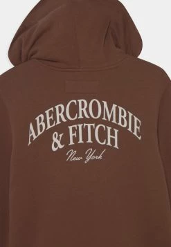 Abercrombie & Fitch MULTIHIT - Sweatshirt - Brown -Abercrombie & Fitch Shop 0c5bc2dcfc5343eab581dc1dc9df9c05