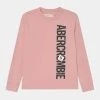 Abercrombie & Fitch VERTICAL PRINT LOGO SOLID - Long Sleeved Top - Light Pink
