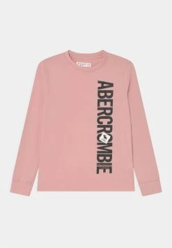 Abercrombie & Fitch VERTICAL PRINT LOGO SOLID - Long Sleeved Top - Light Pink