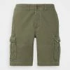 Abercrombie & Fitch Shorts - Green/grape Leaf