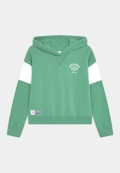 Abercrombie & Fitch CHAIN CORE SOLID - Sweatshirt - Green