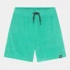 Abercrombie & Fitch TOWEL UTILITY - Shorts - Green