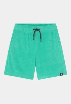 Abercrombie & Fitch TOWEL UTILITY - Shorts - Green