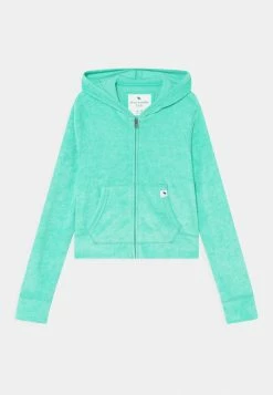 Abercrombie & Fitch MAY - Zip-up Sweatshirt - Green