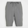 Abercrombie & Fitch Swimming Shorts - Grey
