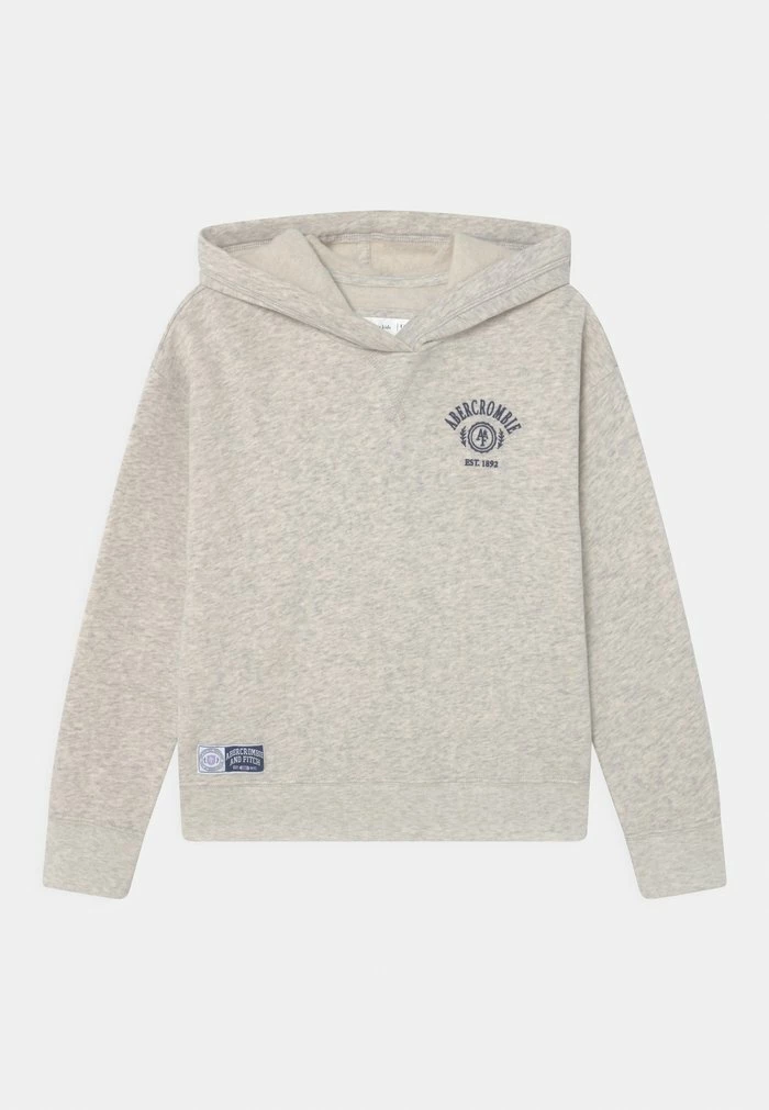 Abercrombie & Fitch CHAIN CORE SOLID - Sweatshirt - Light Grey 1 Abercrombie & Fitch CHAIN CORE SOLID - Sweatshirt - Light Grey