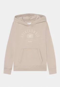 Abercrombie & Fitch SOLID - Sweatshirt - Solid Tan