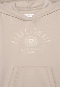 Abercrombie & Fitch SOLID - Sweatshirt - Solid Tan -Abercrombie & Fitch Shop 66f940dbf3d84a4eb71425bb71e8267d