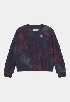 Abercrombie & Fitch POLAR CREW - Fleece Jumper - Multicolor