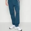 Abercrombie & Fitch LARGE SCALE STRAIGHT LEG - Tracksuit Bottoms - Mallard Blue
