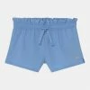 Abercrombie & Fitch Shorts - Bella Robia Blue