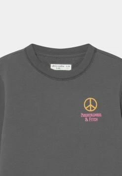 Abercrombie & Fitch THRIFTED CREW SOLID - Sweatshirt - Dark Grey -Abercrombie & Fitch Shop 9546e030b12c47e9b5597df5635df8bf