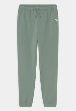 Abercrombie & Fitch CHAIN DAD - Tracksuit Bottoms - Iceburg Green