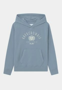 Abercrombie & Fitch SOLID - Sweatshirt - Blue