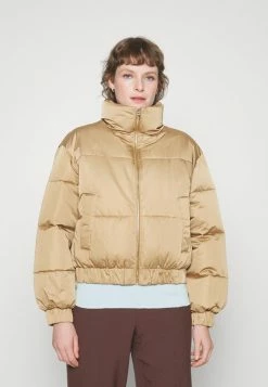 Abercrombie & Fitch LINER - Winter Jacket - Brown