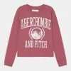 Abercrombie & Fitch MOOST HAVE - Long Sleeved Top - Pink