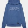 Abercrombie & Fitch LOGO - Sweatshirt - Blue