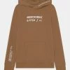 Abercrombie & Fitch OVERT LOGO - Sweatshirt - Brown